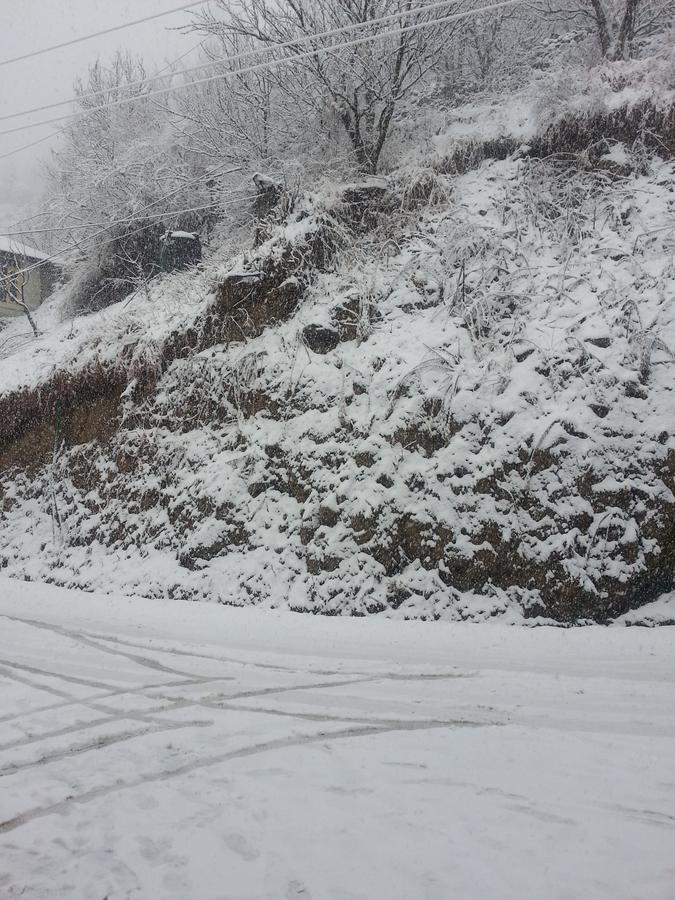 Holiday Bnb Manali Exterior foto